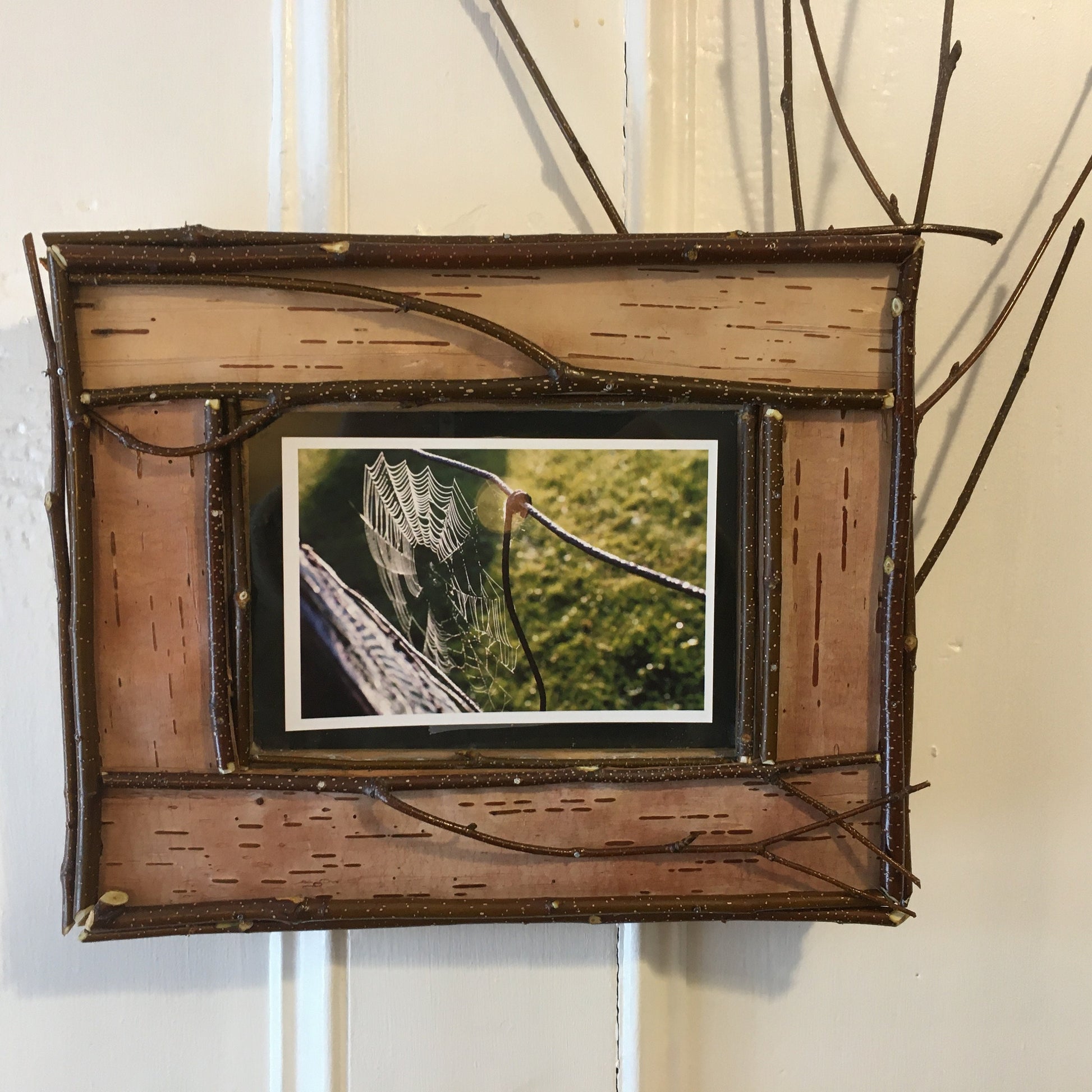 Adirondack picture frame crafted from birch bark and twigs, featuring natural textures and earthy tones, perfect for showcasing your favorite photo in a rustic, nature-inspired style