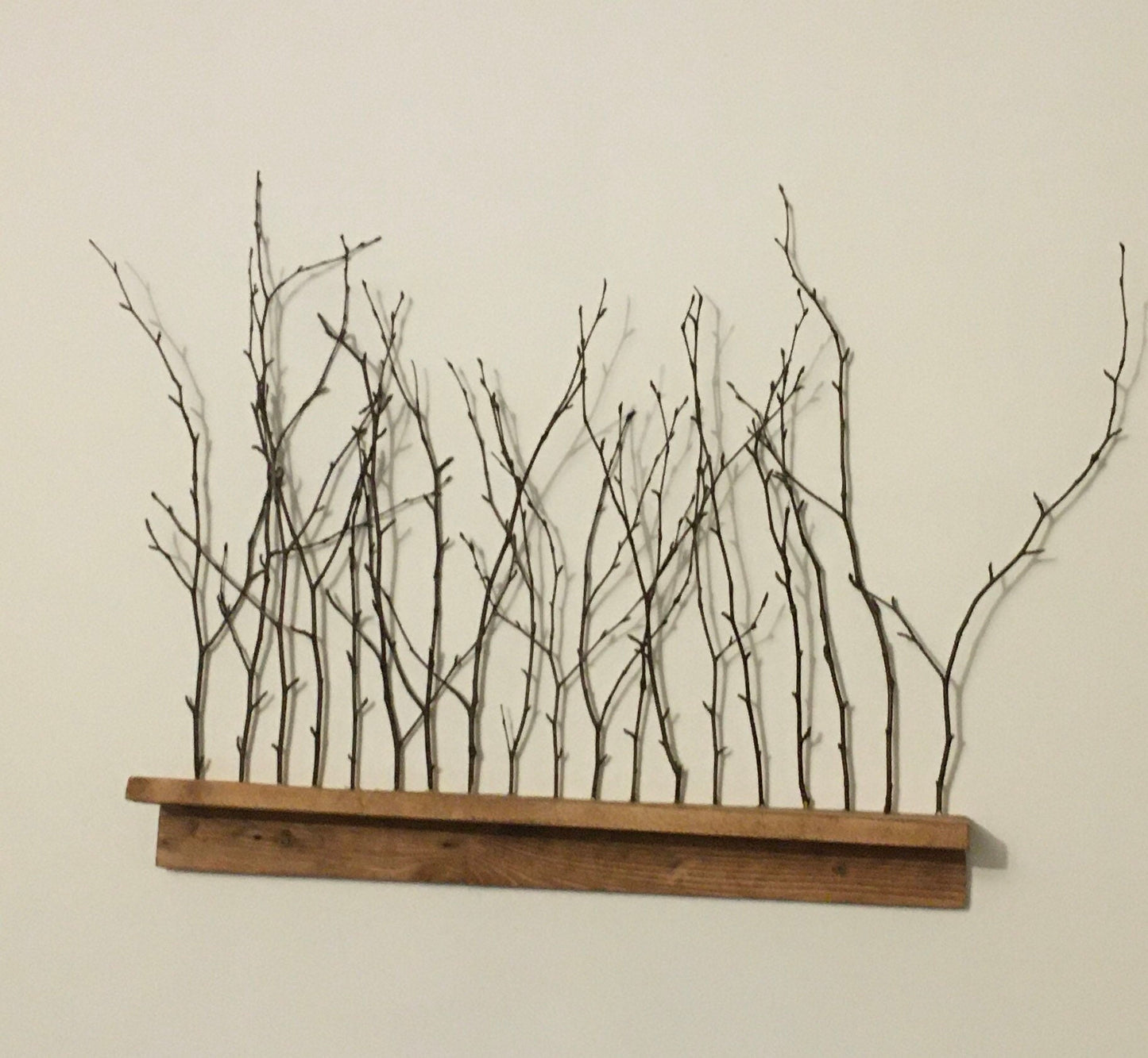 Birch twig wall shelf, nature inspired decor, cottage decor.