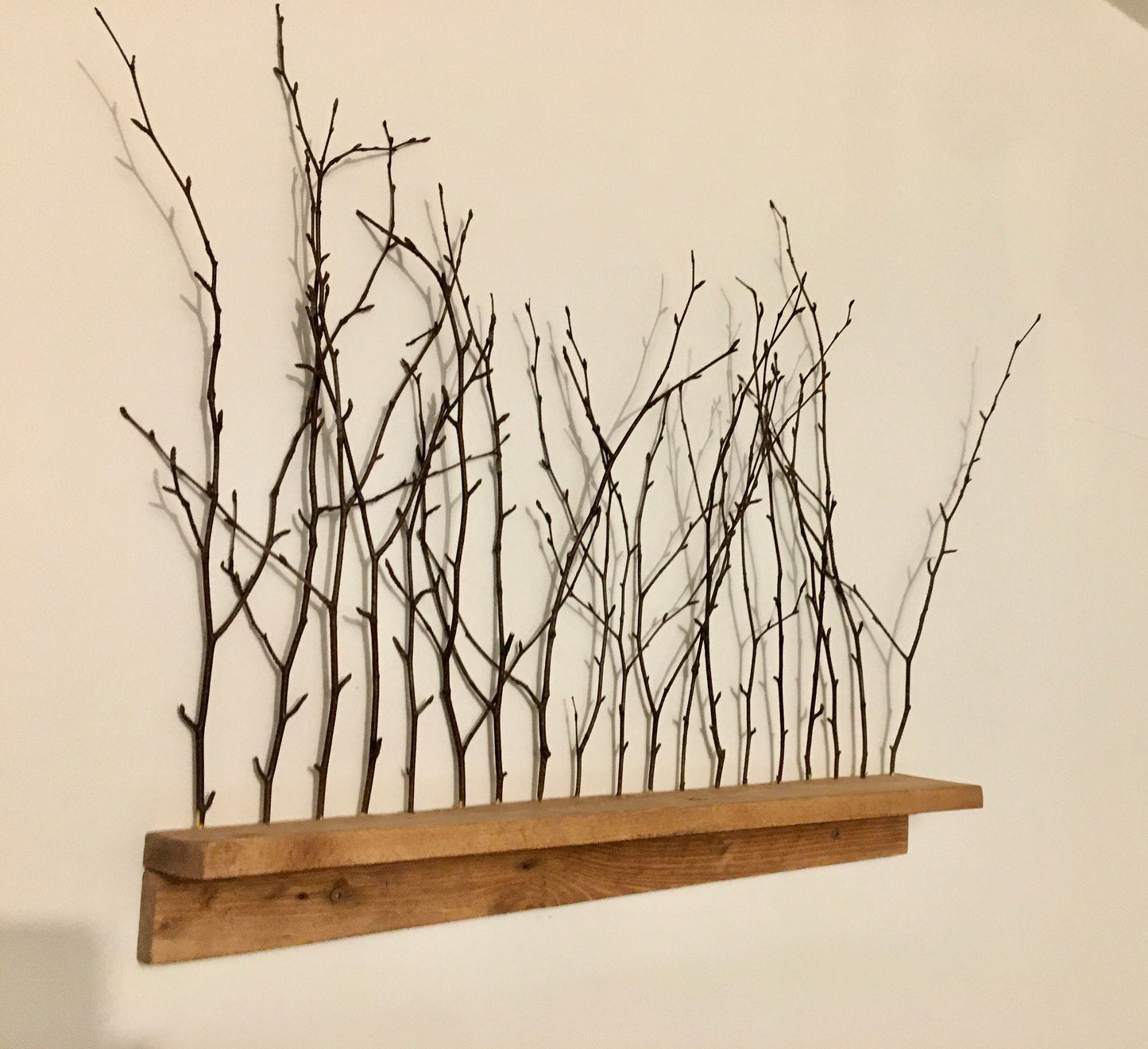 Birch twig wall shelf, nature inspired decor, cottage decor.